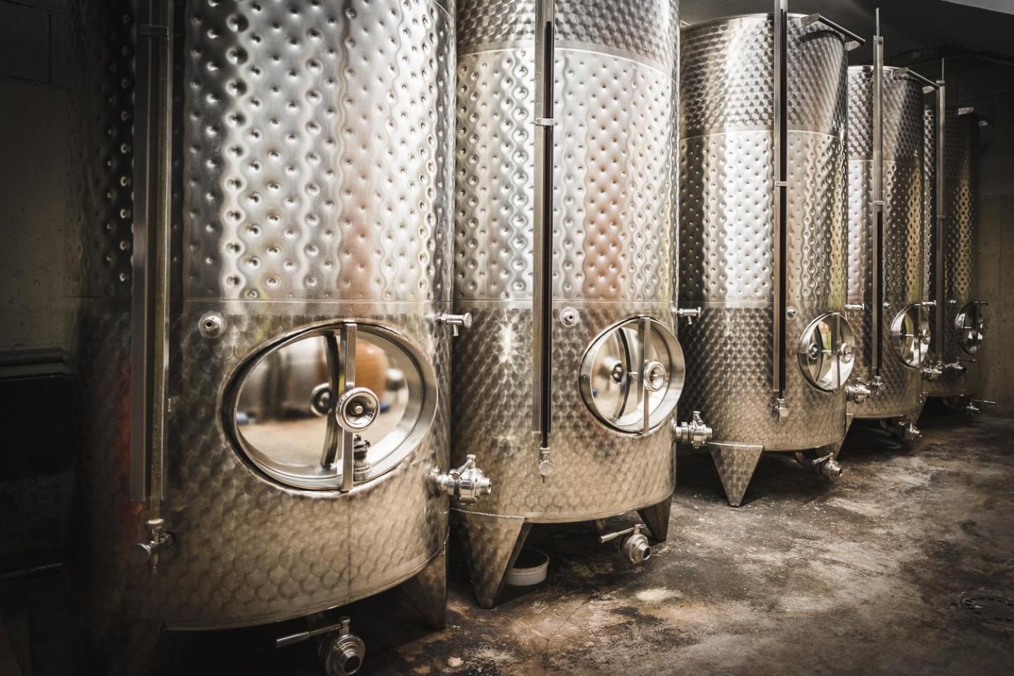 Weingut Gaestehaus D&D Haider Jois Exteriör bild