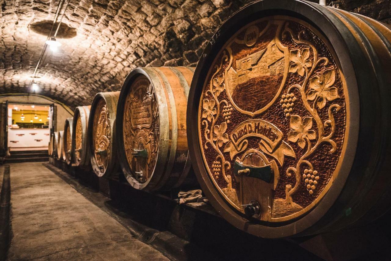 Weingut Gaestehaus D&D Haider Jois Exteriör bild