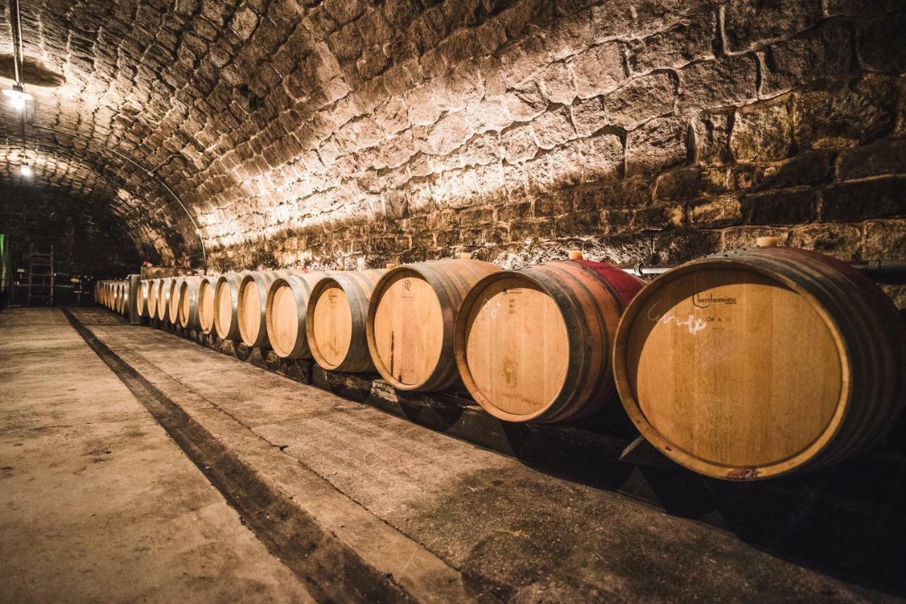 Weingut Gaestehaus D&D Haider Jois Exteriör bild